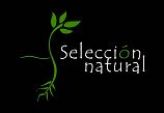 Selección Natural
